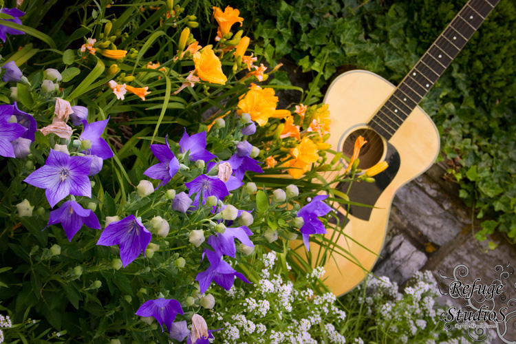 RS-Guitar (9)