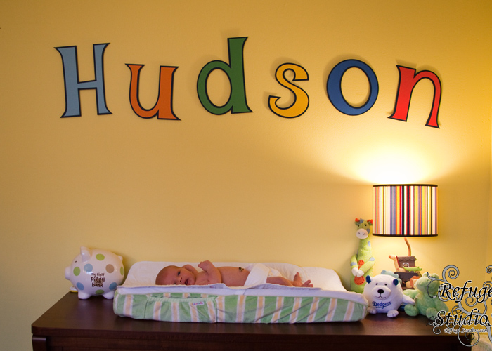 RS-Hudson (23)