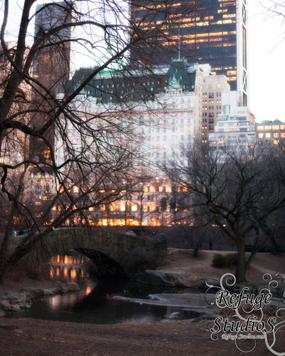 RS-NYC (2)
