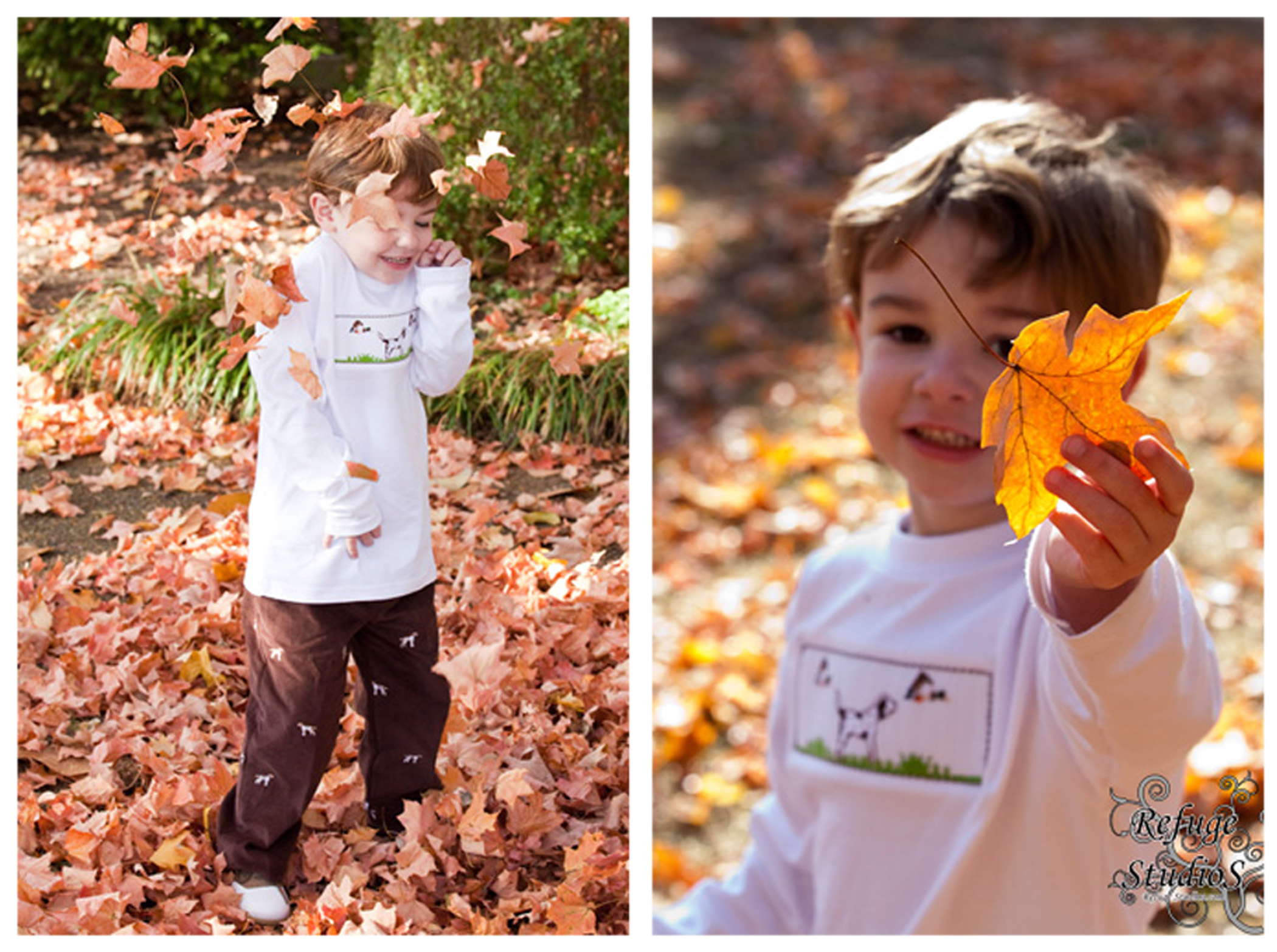 RS-fall1