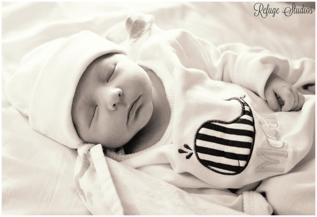 Newborn Photography Franklin TN