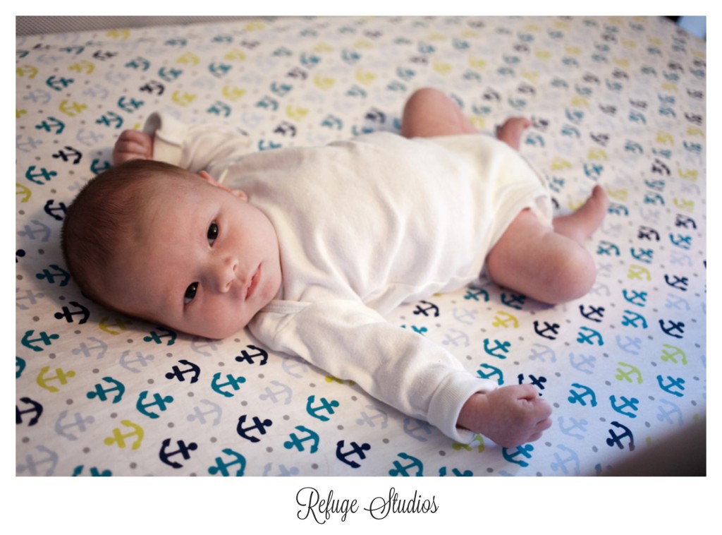 Findlay Ohio Newborn Photographer