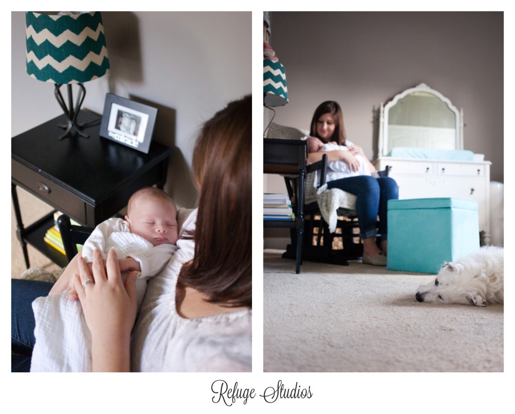 Findlay Ohio Newborn