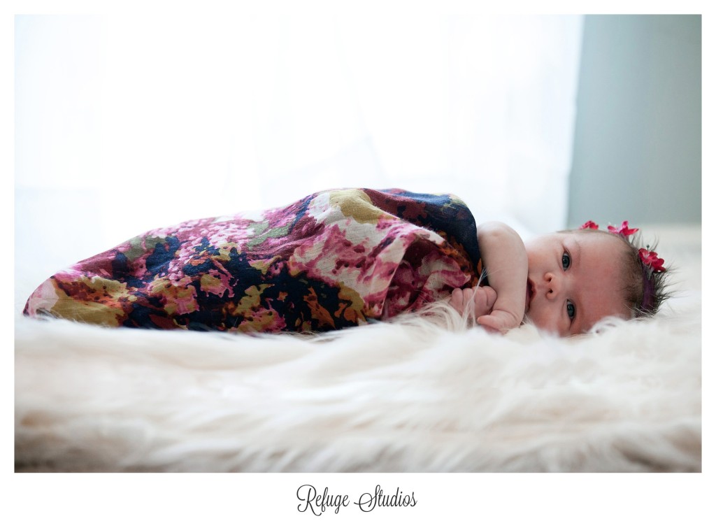 Haven-RefugeStudios2016 (0) copy